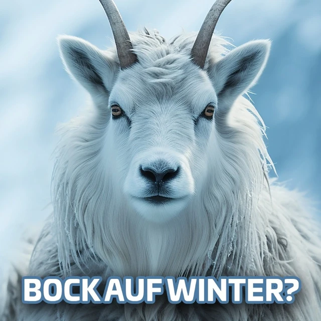 Steinbock Winter