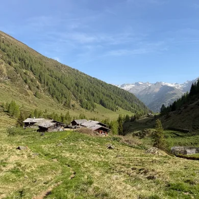 Malerisches Panorama der Almwiesen und Gipfel rund um die Bruggeralm